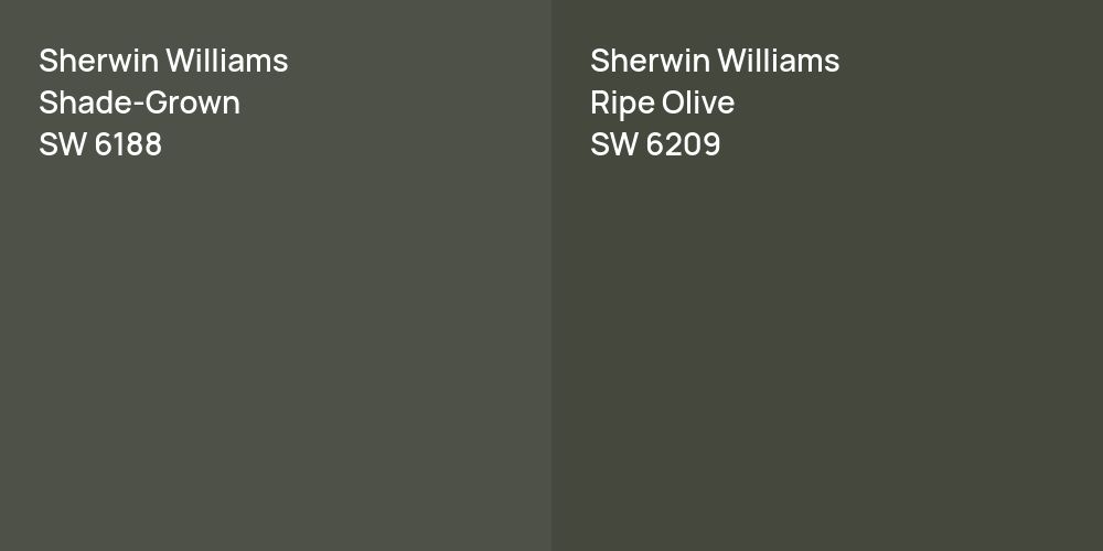 Sherwin Williams Shade-Grown vs. Sherwin Williams Ripe Olive