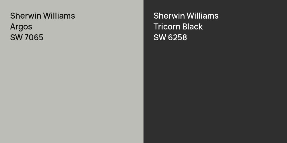 Sherwin Williams Argos vs. Sherwin Williams Tricorn Black