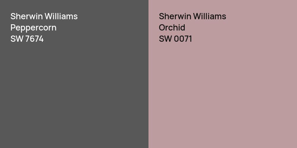 Sherwin Williams Peppercorn vs. Sherwin Williams Orchid