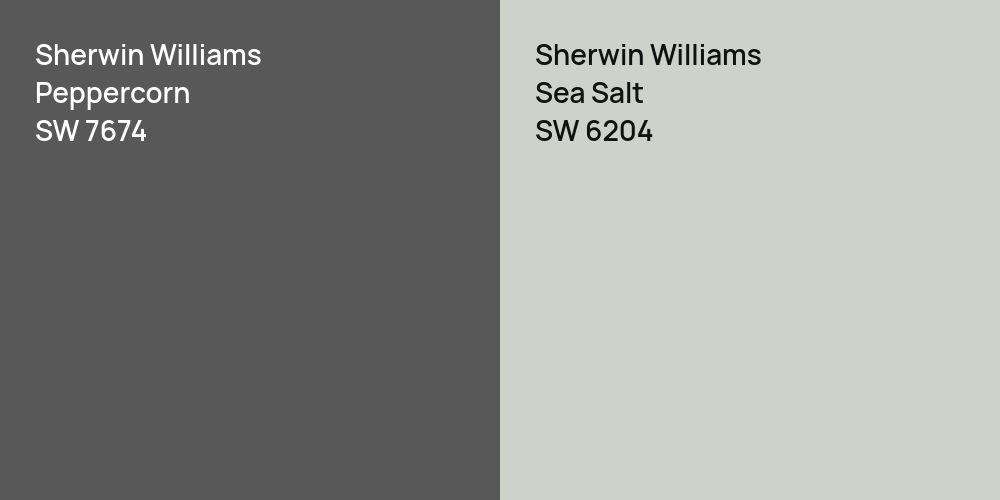 Sherwin Williams Peppercorn vs. Sherwin Williams Sea Salt