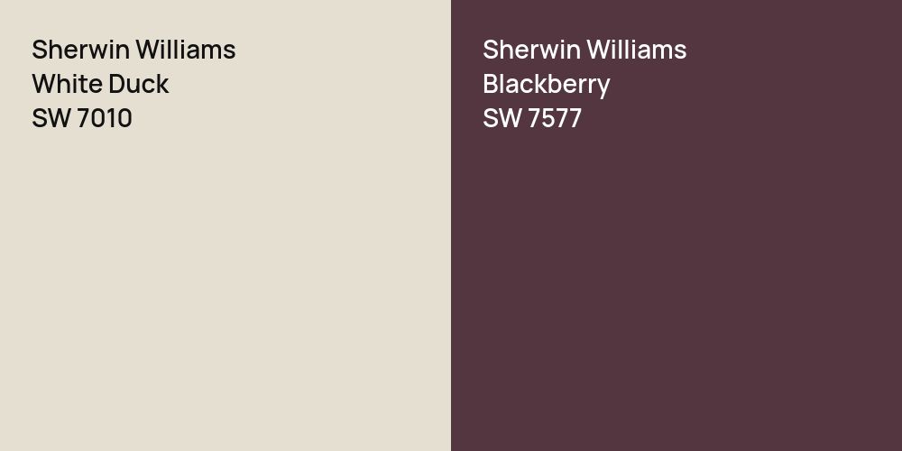 Sherwin Williams White Duck vs. Sherwin Williams Blackberry