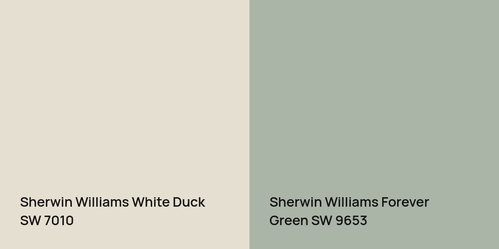 Sherwin Williams White Duck vs. Sherwin Williams Forever Green