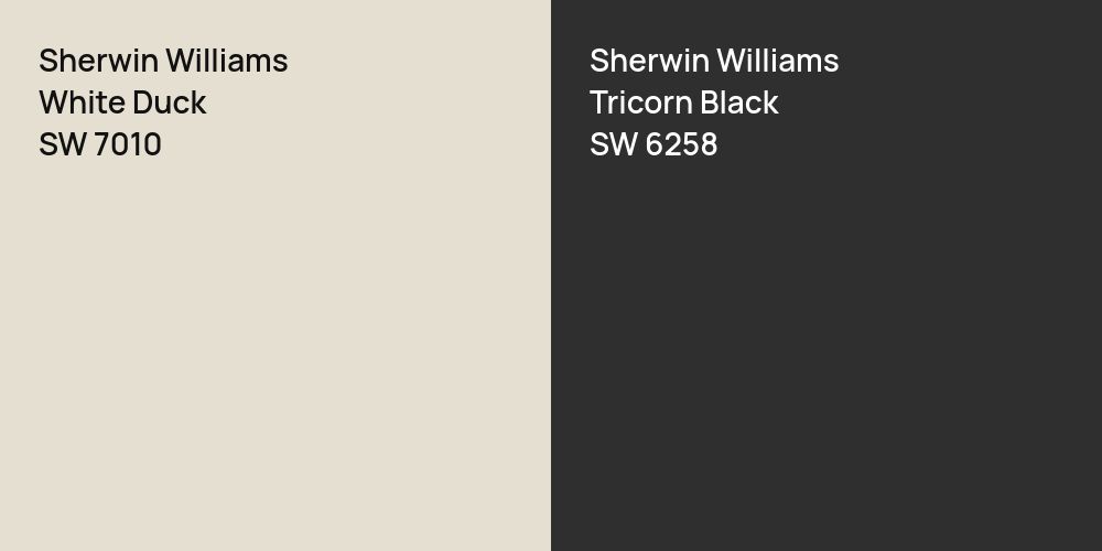 Sherwin Williams White Duck vs. Sherwin Williams Tricorn Black