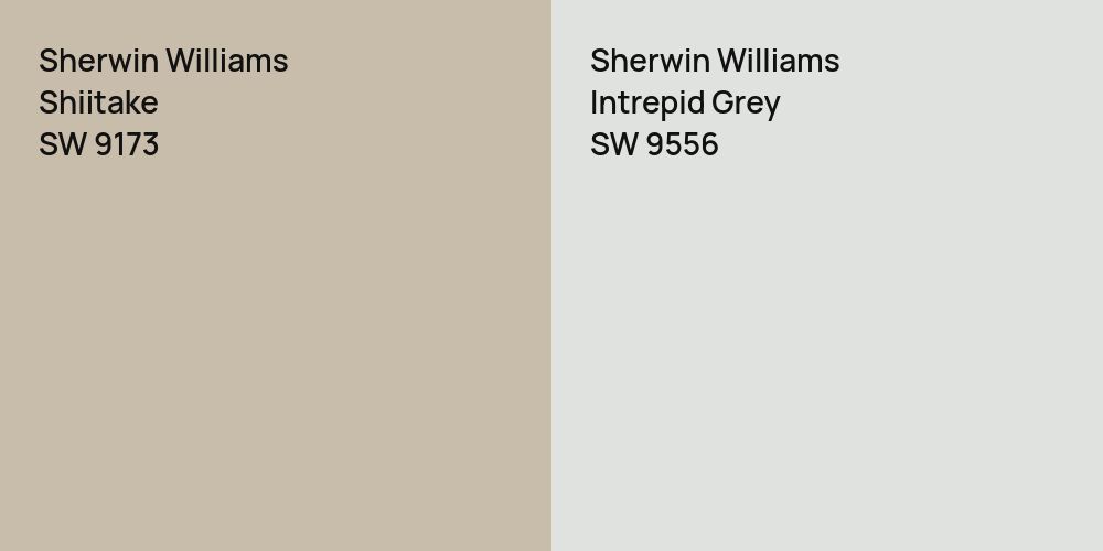 Sherwin Williams Shiitake vs. Sherwin Williams Intrepid Grey