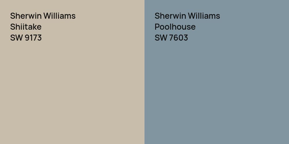 Sherwin Williams Shiitake vs. Sherwin Williams Poolhouse