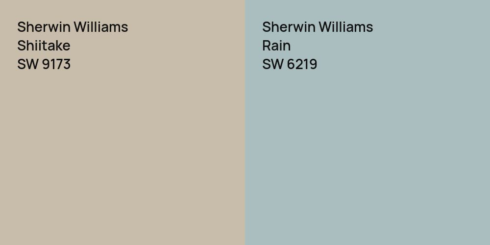 Sherwin Williams Shiitake vs. Sherwin Williams Rain