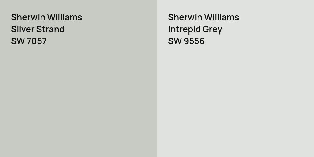 Sherwin Williams Silver Strand vs. Sherwin Williams Intrepid Grey