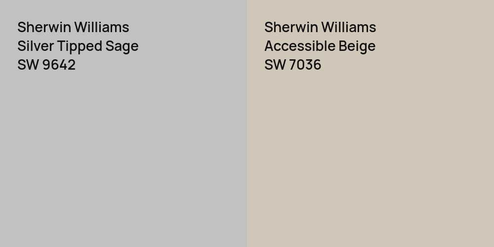 Sherwin Williams Silver Tipped Sage vs. Sherwin Williams Accessible Beige