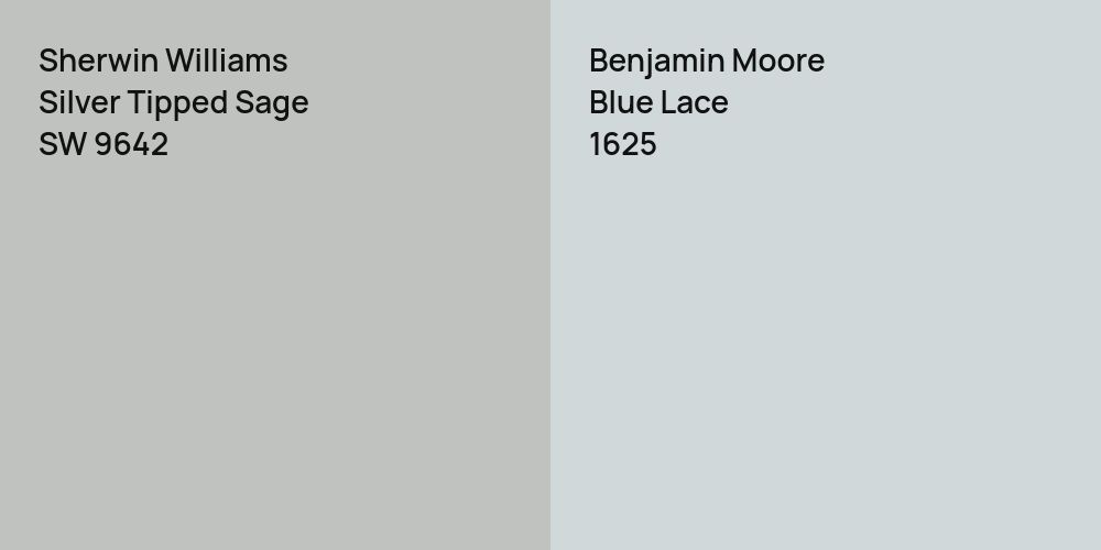 Sherwin Williams Silver Tipped Sage vs. Benjamin Moore Blue Lace