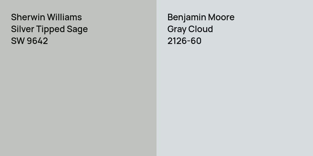 Sherwin Williams Silver Tipped Sage vs. Benjamin Moore Gray Cloud