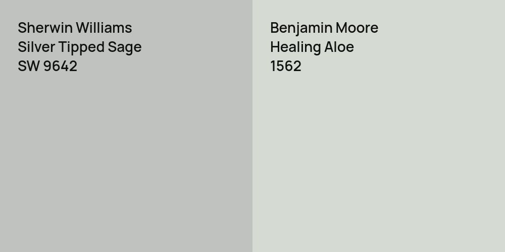 Sherwin Williams Silver Tipped Sage vs. Benjamin Moore Healing Aloe