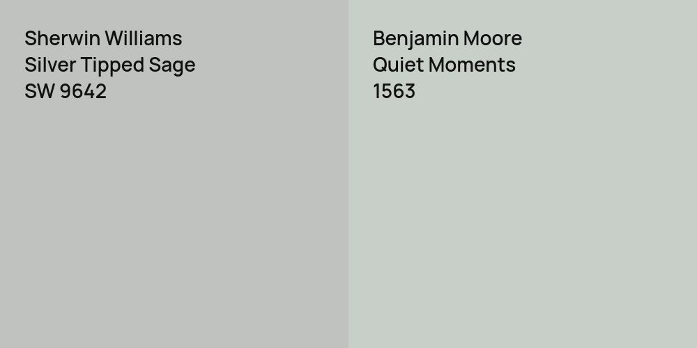 Sherwin Williams Silver Tipped Sage vs. Benjamin Moore Quiet Moments