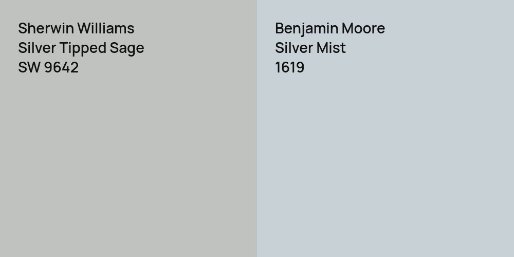 Sherwin Williams Silver Tipped Sage vs. Benjamin Moore Silver Mist