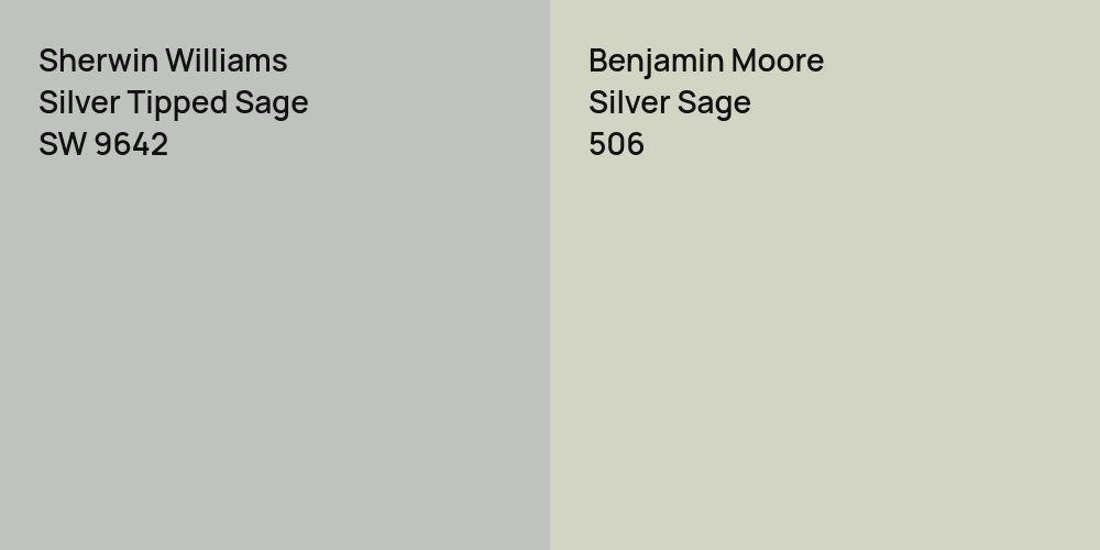 Sherwin Williams Silver Tipped Sage vs. Benjamin Moore Silver Sage