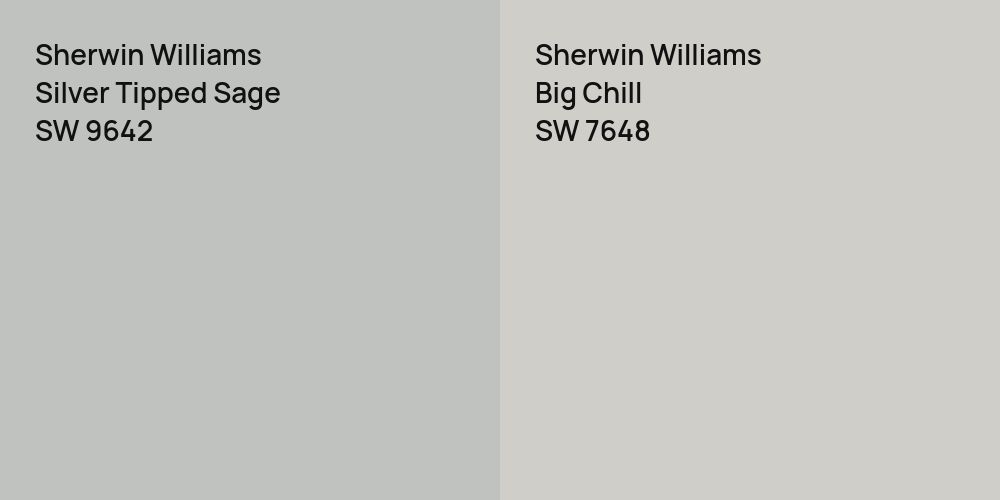 Sherwin Williams Silver Tipped Sage vs. Sherwin Williams Big Chill