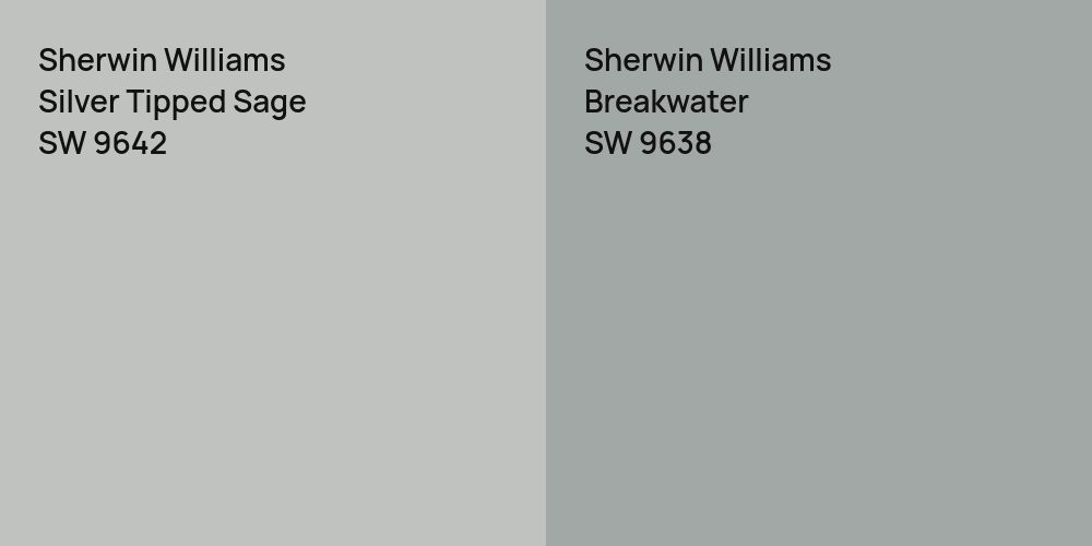 Sherwin Williams Silver Tipped Sage vs. Sherwin Williams Breakwater