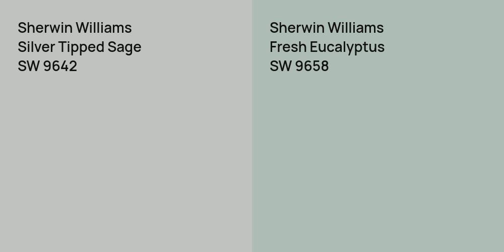 Sherwin Williams Silver Tipped Sage vs. Sherwin Williams Fresh Eucalyptus