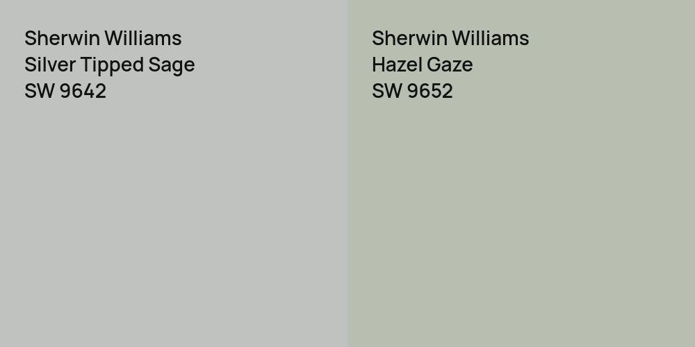 Sherwin Williams Silver Tipped Sage vs. Sherwin Williams Hazel Gaze