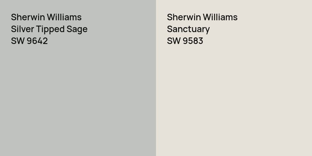 Sherwin Williams Silver Tipped Sage vs. Sherwin Williams Sanctuary