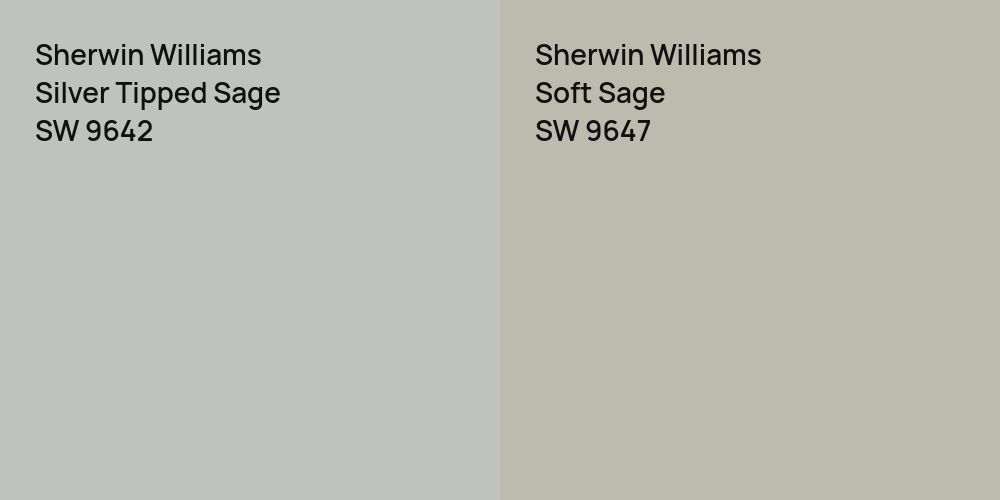 Sherwin Williams Silver Tipped Sage vs. Sherwin Williams Soft Sage