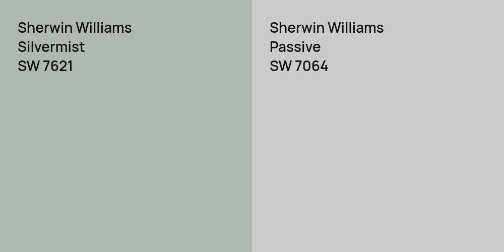 Sherwin Williams Silvermist vs. Sherwin Williams Passive