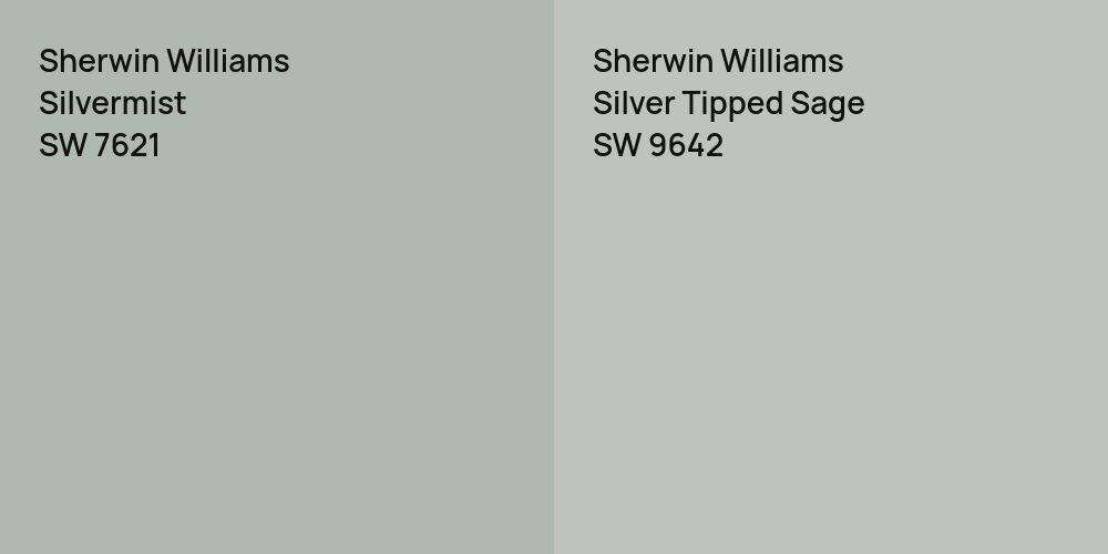 Sherwin Williams Silvermist vs. Sherwin Williams Silver Tipped Sage