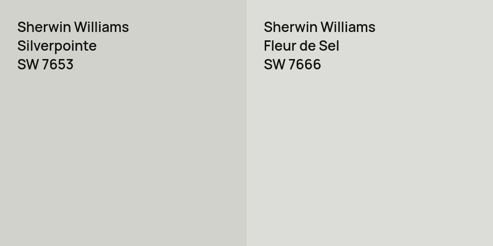 Sherwin Williams Silverpointe vs. Sherwin Williams Fleur de Sel