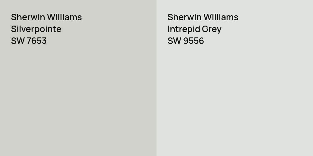 Sherwin Williams Silverpointe vs. Sherwin Williams Intrepid Grey