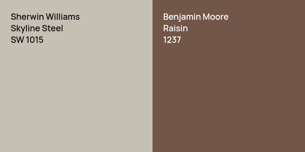 Sherwin Williams Skyline Steel vs. Benjamin Moore Raisin