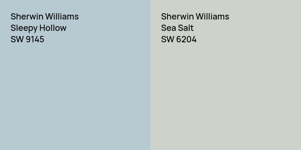 Sherwin Williams Sleepy Hollow vs. Sherwin Williams Sea Salt