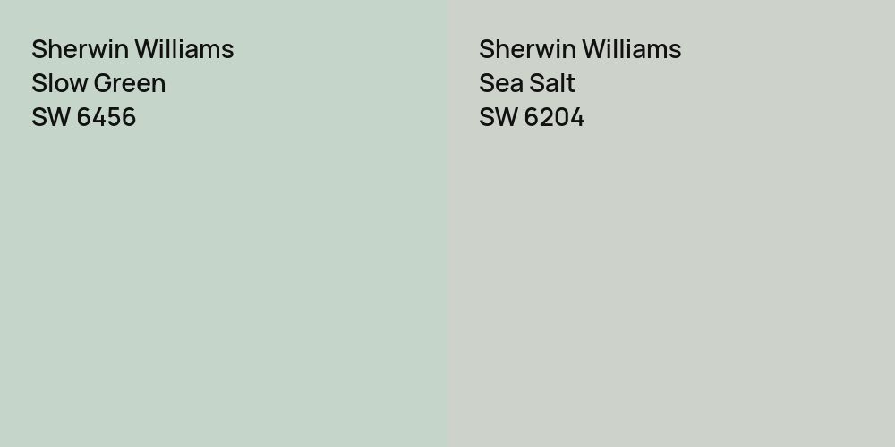 Sherwin Williams Slow Green vs. Sherwin Williams Sea Salt