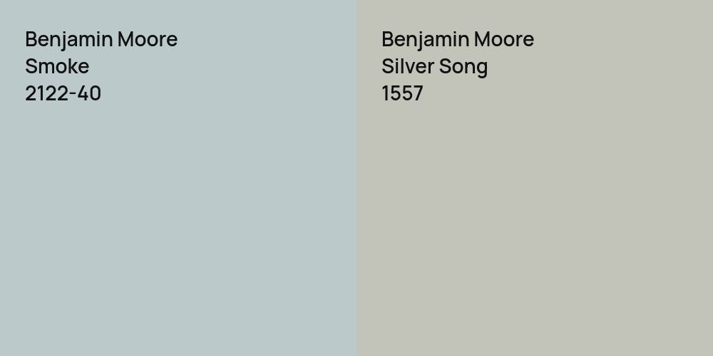 Benjamin Moore Smoke vs. Benjamin Moore Silver Song