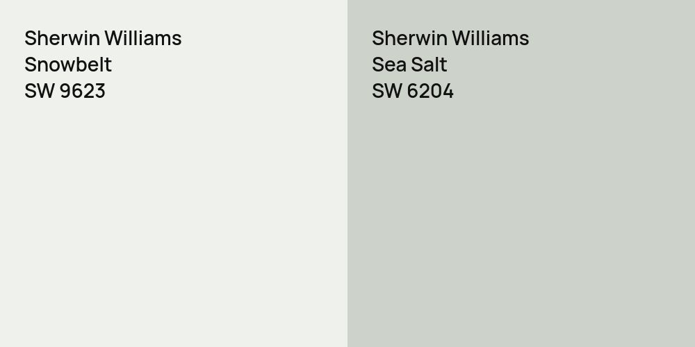 Sherwin Williams Snowbelt vs. Sherwin Williams Sea Salt