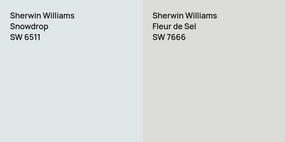 Sherwin Williams Snowdrop vs. Sherwin Williams Fleur de Sel