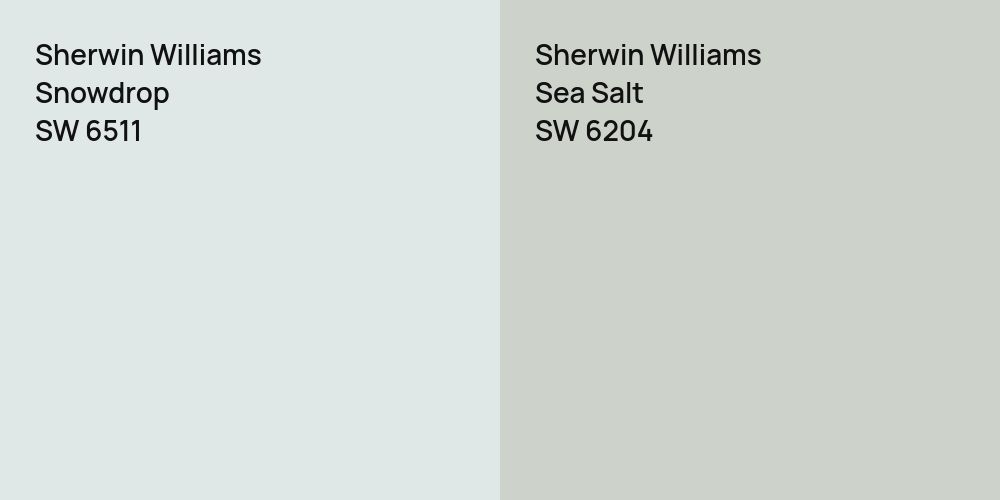 Sherwin Williams Snowdrop vs. Sherwin Williams Sea Salt