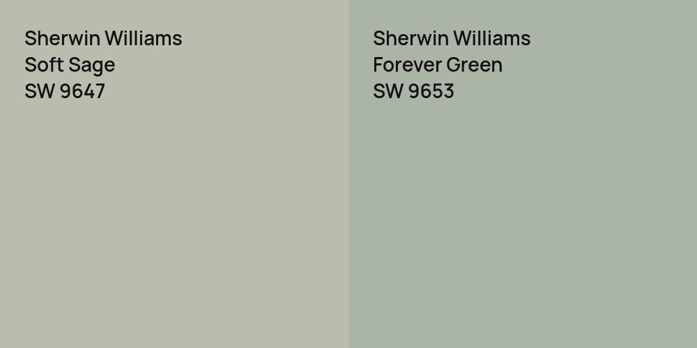 Sherwin Williams Soft Sage vs. Sherwin Williams Forever Green