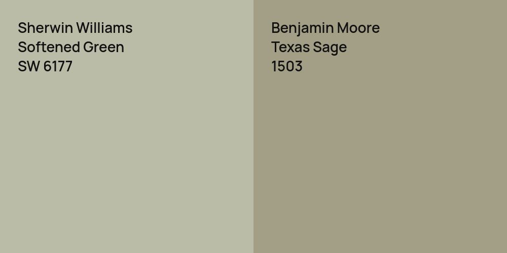 Sherwin Williams Softened Green vs. Benjamin Moore Texas Sage