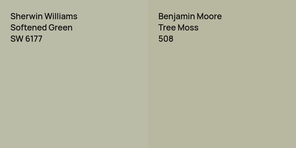 Sherwin Williams Softened Green vs. Benjamin Moore Tree Moss