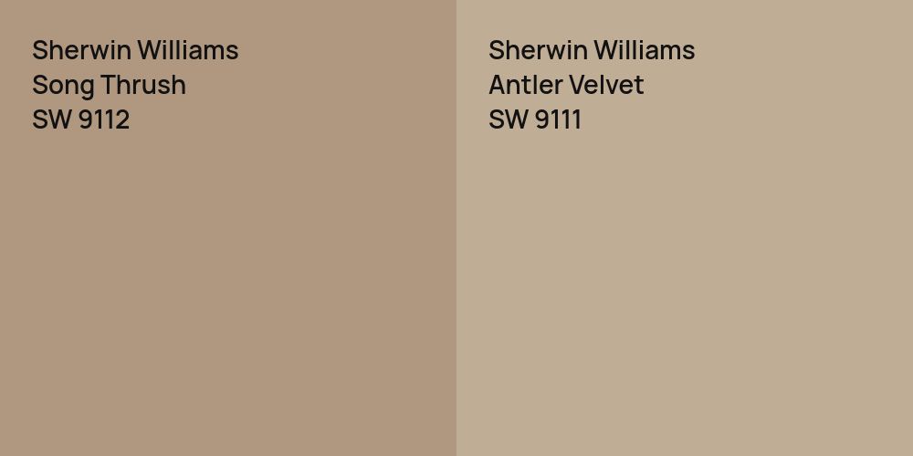 Sherwin Williams Song Thrush vs. Sherwin Williams Antler Velvet