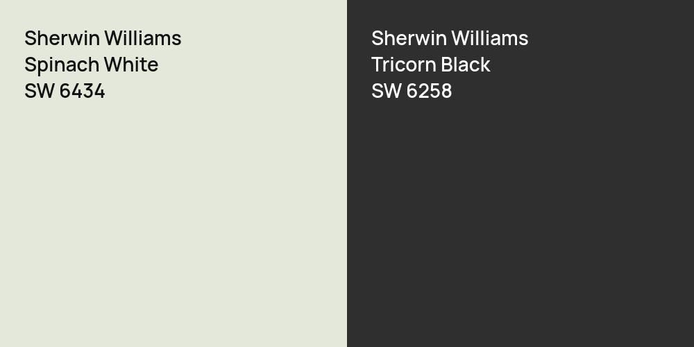 Sherwin Williams Spinach White vs. Sherwin Williams Tricorn Black