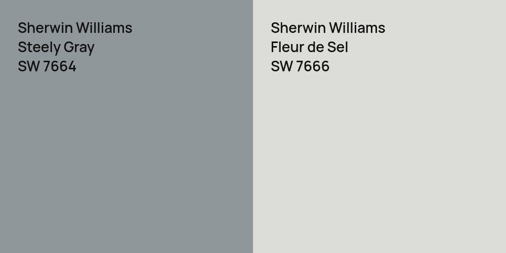 Sherwin Williams Steely Gray vs. Sherwin Williams Fleur de Sel