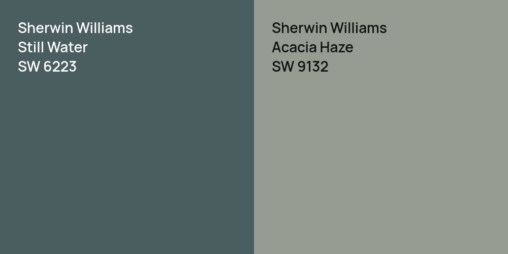 Sherwin Williams Still Water vs. Sherwin Williams Acacia Haze