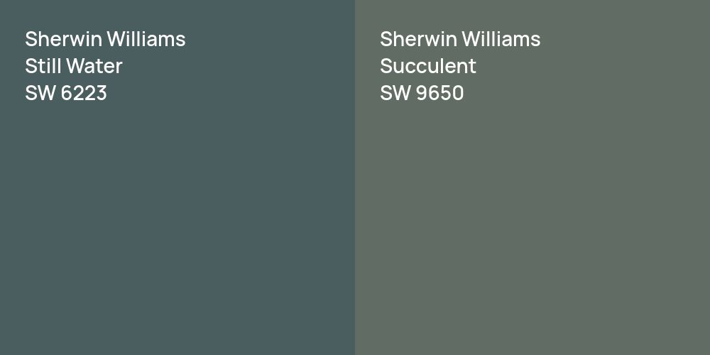 Sherwin Williams Still Water vs. Sherwin Williams Succulent