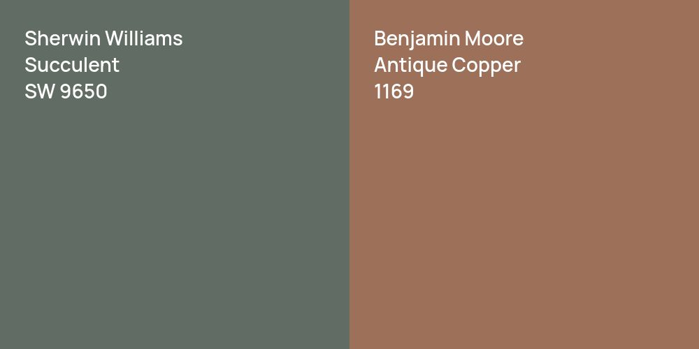 Sherwin Williams Succulent vs. Benjamin Moore Antique Copper