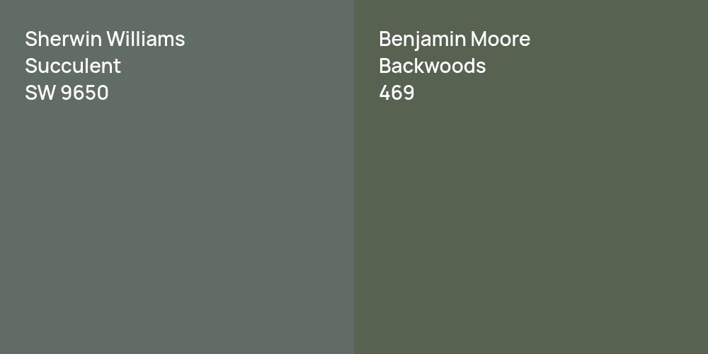 Sherwin Williams Succulent vs. Benjamin Moore Backwoods