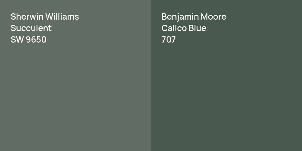 Sherwin Williams Succulent vs. Benjamin Moore Calico Blue