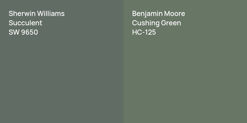 Sherwin Williams Succulent vs. Benjamin Moore Cushing Green