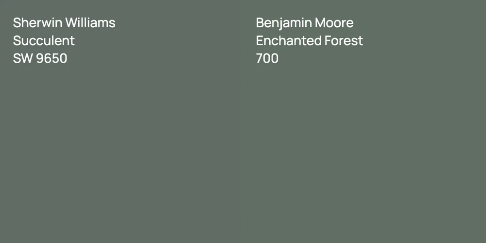 Sherwin Williams Succulent vs. Benjamin Moore Enchanted Forest