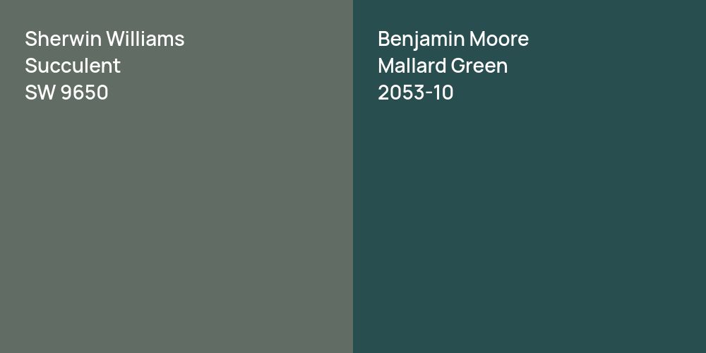 Sherwin Williams Succulent vs. Benjamin Moore Mallard Green