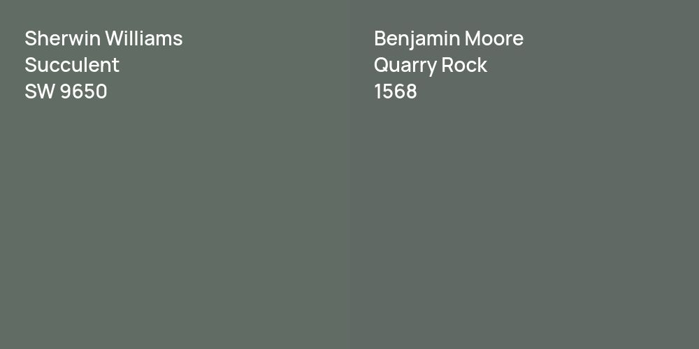 Sherwin Williams Succulent vs. Benjamin Moore Quarry Rock